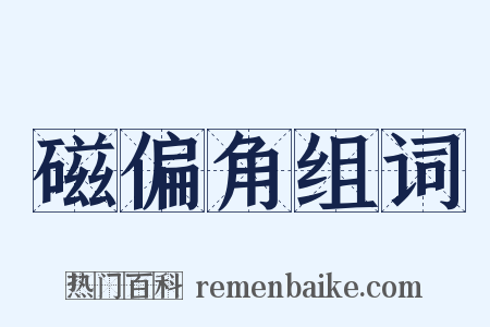 磁偏角组词是什么意思的图片